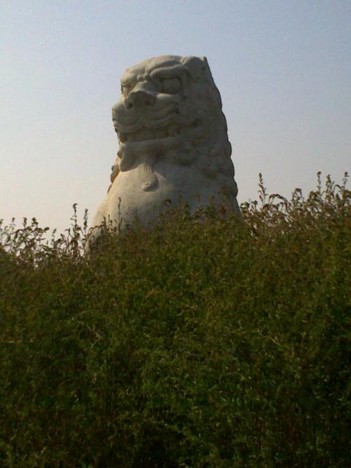f:id:xiaojun:20091015220629j:image