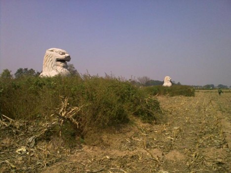 f:id:xiaojun:20091015220634j:image
