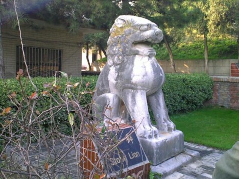 f:id:xiaojun:20091015221421j:image