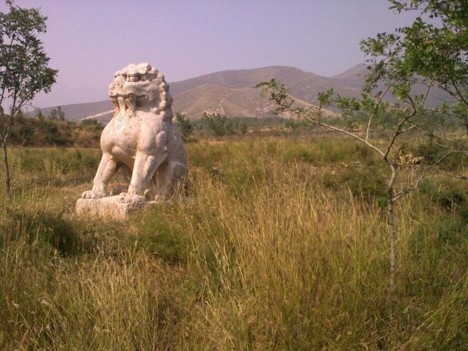f:id:xiaojun:20091015232049j:image