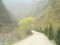 f:id:xiaojun:20100407163912j:image:small