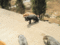 f:id:xiaojun:20100407163919j:image:small