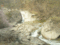 f:id:xiaojun:20100407163935j:image:small