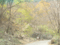 f:id:xiaojun:20100407163936j:image:small