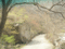 f:id:xiaojun:20100407163937j:image:small