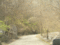 f:id:xiaojun:20100407163938j:image:small