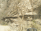 f:id:xiaojun:20100407163940j:image:small