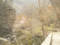 f:id:xiaojun:20100407163947j:image:small