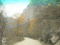 f:id:xiaojun:20100407163958j:image:small