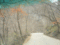 f:id:xiaojun:20100407164000j:image:small