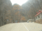 f:id:xiaojun:20100407164003j:image:small