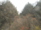 f:id:xiaojun:20100407164007j:image:small