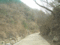 f:id:xiaojun:20100407164011j:image:small