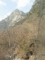 f:id:xiaojun:20100407171426j:image:small