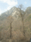 f:id:xiaojun:20100407171429j:image:small