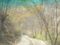 f:id:xiaojun:20100407171439j:image:small