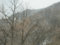 f:id:xiaojun:20100407171441j:image:small