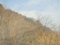 f:id:xiaojun:20100407171444j:image:small