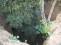 [ヤオトン][西安]