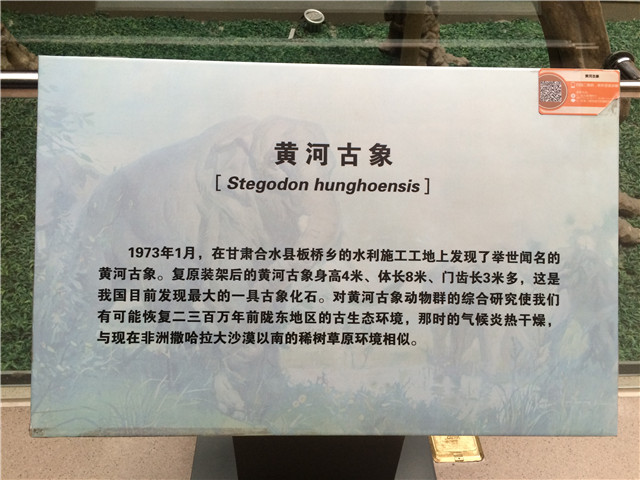 f:id:xiaojun:20151222165955j:image f:id:xiaojun:20151222165955j:image