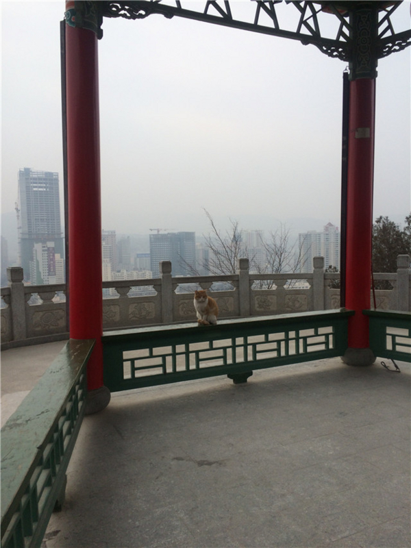 f:id:xiaojun:20151222180051j:image f:id:xiaojun:20151222180051j:image
