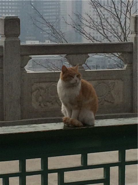 f:id:xiaojun:20151222180753j:image f:id:xiaojun:20151222180753j:image