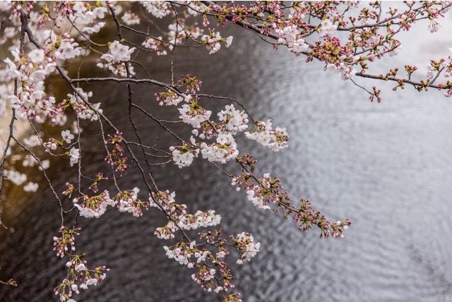 f:id:xiaotiantian:20150426100207j:image f:id:xiaotiantian:20150426100207j:image