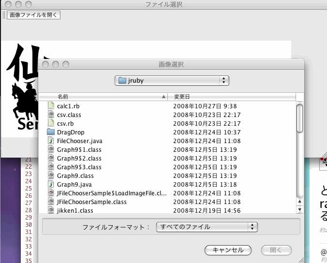 f:id:xibbar:20081224154412g:image