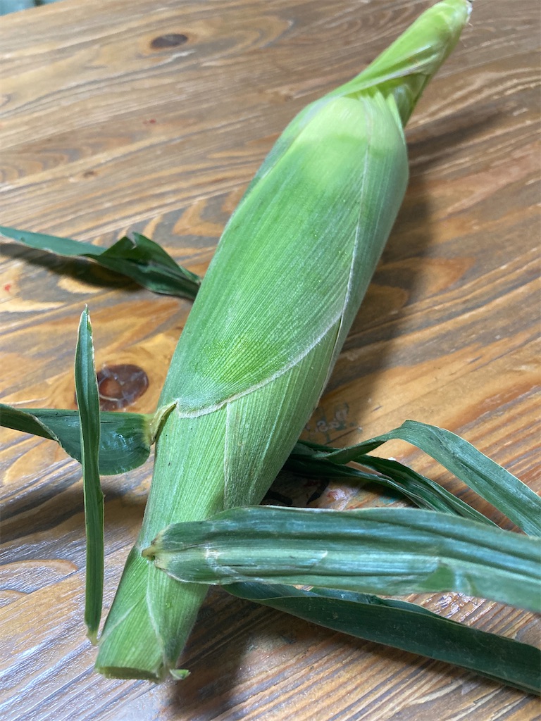 f:id:xing-lin:20250628183411j:image