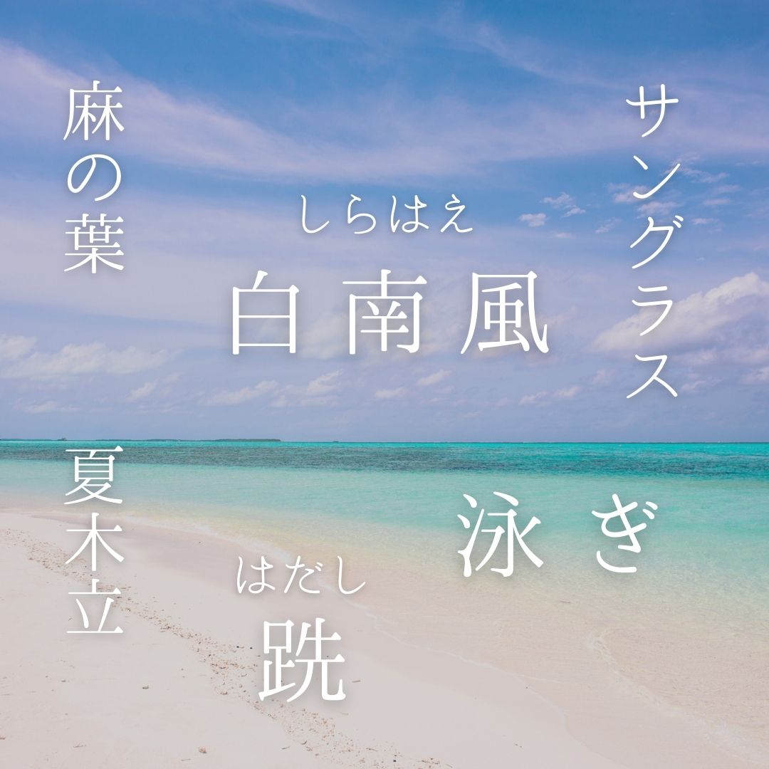 夏の季語として、白南風、跣、サングラス、麻の葉、泳ぎ、夏木立を選びました。