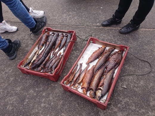 f:id:xingtsi:20190702181745p:plain f:id:xingtsi:20190702181745p:plain