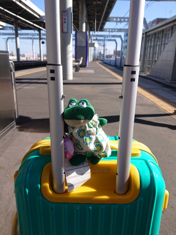 f:id:xingtsi:20191106102404p:plain f:id:xingtsi:20191106102404p:plain