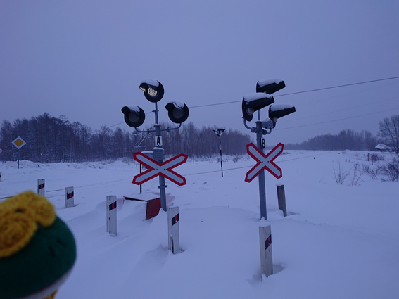 f:id:xingtsi:20200301232713p:plain