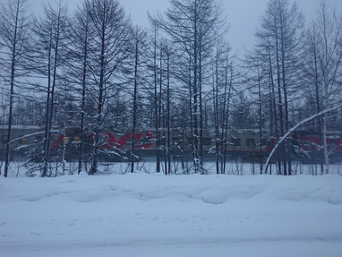 f:id:xingtsi:20200301232729p:plain