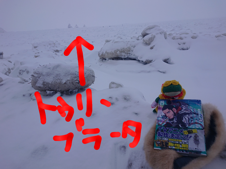 f:id:xingtsi:20200512224719p:plain