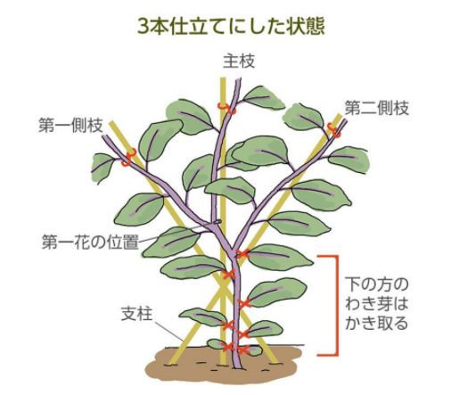 f:id:xinkawa:20210813203506p:plain