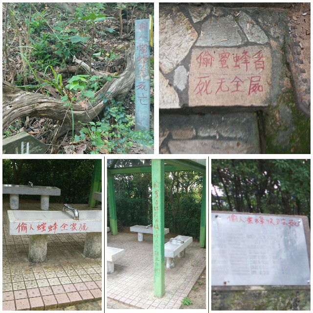 f:id:xinsg:20160614075513j:image