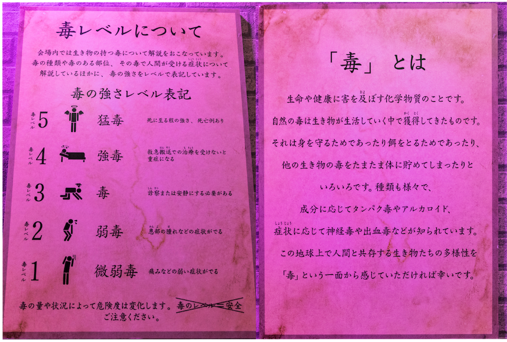 f:id:xizxsaxixyoxa:20170617153615p:image f:id:xizxsaxixyoxa:20170617153615p:image