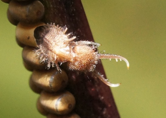 f:id:xjino:20180204124924j:plain f:id:xjino:20180204124924j:plain