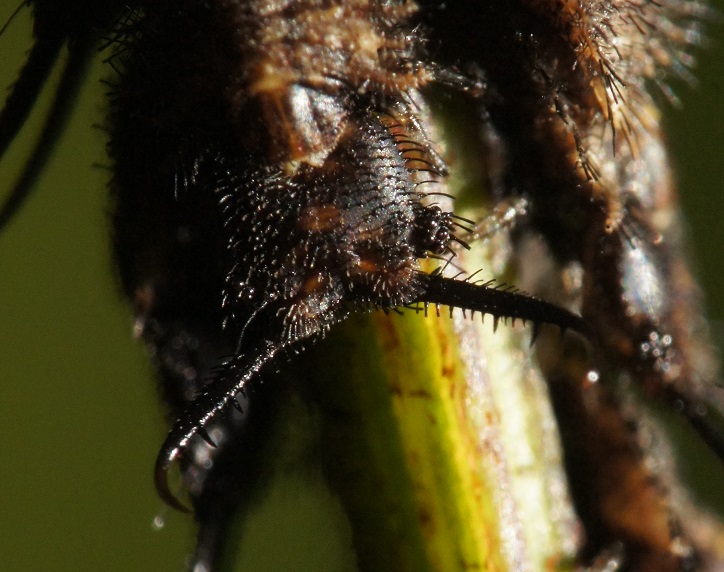 f:id:xjino:20180204125009j:plain f:id:xjino:20180204125009j:plain