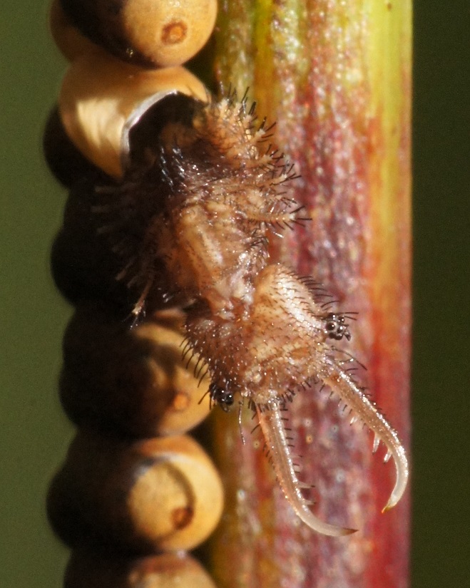 f:id:xjino:20180204125021j:plain f:id:xjino:20180204125021j:plain