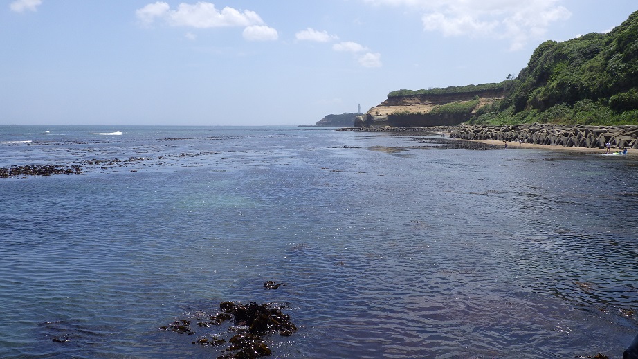 f:id:xjino:20180708172324j:plain f:id:xjino:20180708172324j:plain