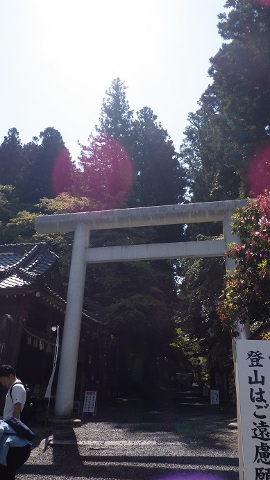 f:id:xjino:20190602140904j:plain