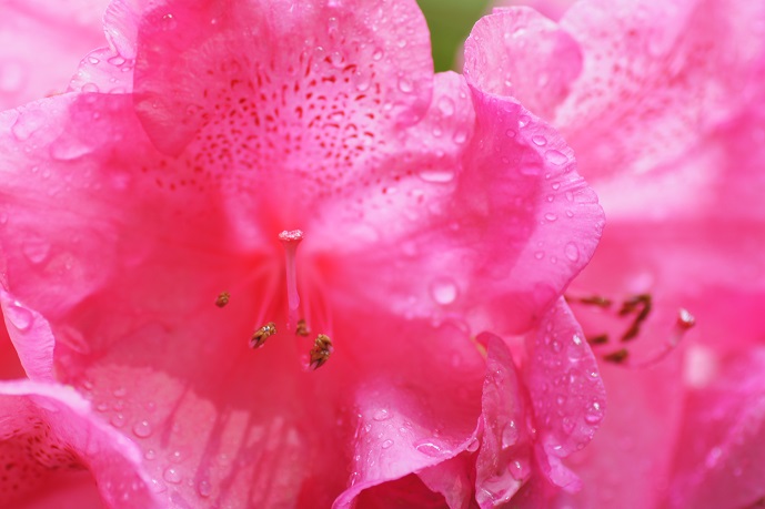 f:id:xjino:20190602141900j:plain