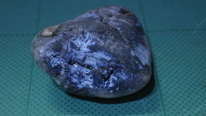 f:id:xjino:20190623110301j:plain