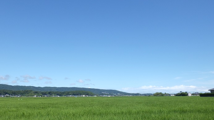 f:id:xjino:20190727192102j:plain f:id:xjino:20190727192102j:plain
