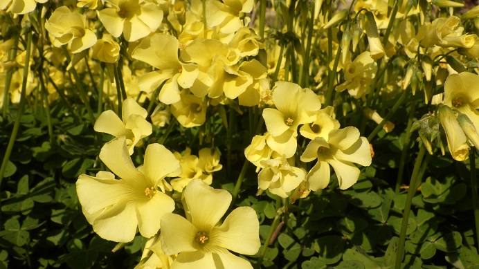 f:id:xjino:20191230235734j:plain f:id:xjino:20191230235734j:plain