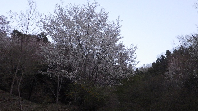 f:id:xjino:20210406203127j:plain