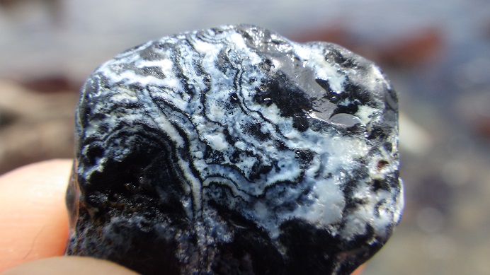 f:id:xjino:20210529080153j:plain