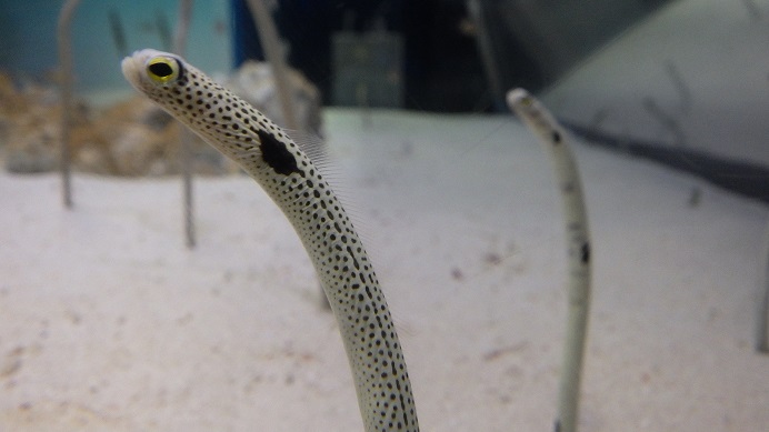f:id:xjino:20220116113508j:plain